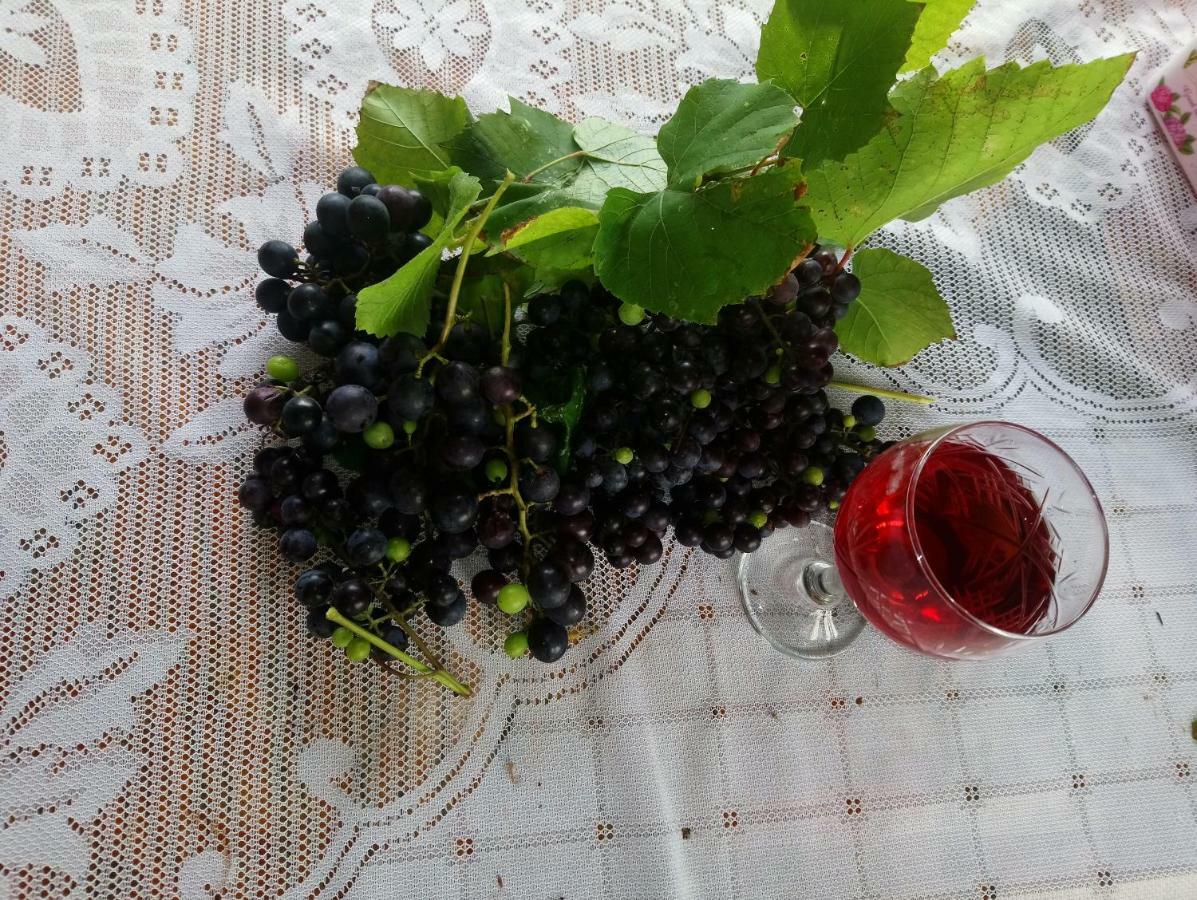 Guest House And Cellar Winery In Ortabatumi Batumi Georgia Kültér fotó